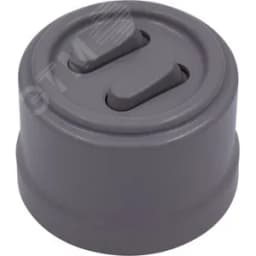 Выключатель Лизетта 2-кл., пластик, цвет Титан (клавишный)