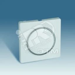 Накладка на 75305-, 75306-, 75315-, 75322-39 (69), S82,82N, шампань