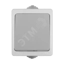 Выключатель Аллегро 1 клавиша IP54 серый