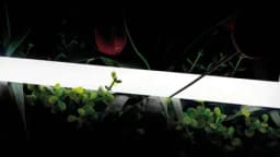 Лента светодиодная неоновая 360 SWG Pro 3000K SWG236024WW66