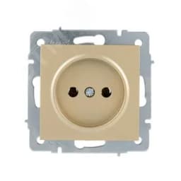 VESNA Розетка б/з ПБТ золото
