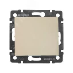 Выключатель одноклавишный, в рамку, слоновая кость 774301 LEGRAND