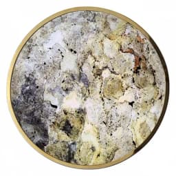 Накладной светильник Odeon Light Bergi 507950L