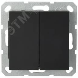 Выключатель двухклавишный 10A 250V~ с накладкой, цвет черный матовый (soft touch)