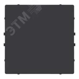 ЗАГЛУШКА ATLASDESIGN КАРБОН