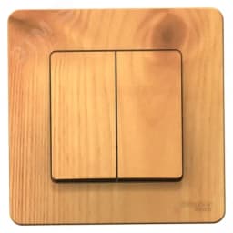 BLANCA скрытой установки двухклавишный выключатель (cх.5), 10A, 250B, ясень Systeme Electric