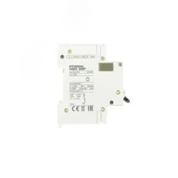 Автоматический выключатель HGD63P 1PMBS0000C 00016 1 полюс, 16А, ток к.з. 10kA, хар-ка B (STANDARD)