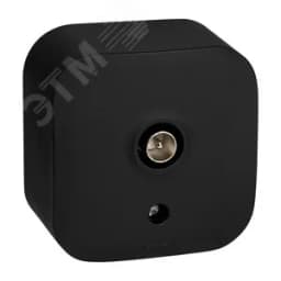 Розетка TV (телевизионная) Legrand Quteo "звезда" IP20 накладная чёрная матовая LEGRAND