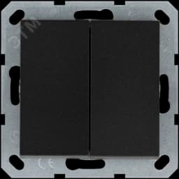 Выключатель двухклавишный 10A 250V~ с накладкой, цвет Антрацит
