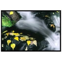 Экран для проектора Clarion 252105 Draper