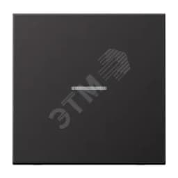 Клавиша 1-я для выключателей и кнопок  с окошком для подсветки. Серия LS990  Материал- металл  Цвет- алюминий дарк JUNG