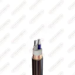 Кабель силовой АПвВГЭ 2х70 мк(N)-1