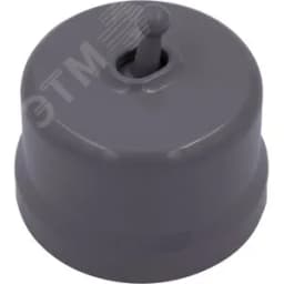 Выключатель Лизетта 1-кл., пластик, цвет Титан (тумблерный)