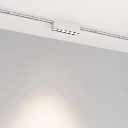 Светильник MAG-VIBE-LASER-L101-6W Day4000 (WH, 24 deg, 48V) (Arlight, IP20 Металл, 5 лет)