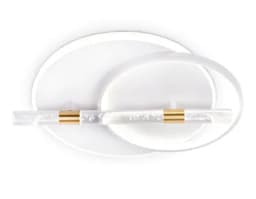 Потолочный светодиодный светильник с пультом Ambrella Light FL5007