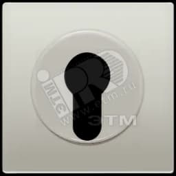 Крышка к выключателю для замочного механизма благородная сталь