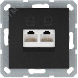 Интернет-розетка RJ45 двойная с накладкой, цвет Антрацит