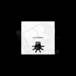 Клавиша с окошком для подсветки и символом  свет   белая