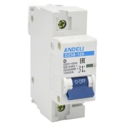 Выключатель автоматический 1P 1P 125A тип D 8-12in DZ58-125 ANDELI