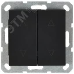 Выключатель двухклавишный для штор 10A 250V~ с накладкой, цвет черный матовый (soft touch) G3028PB Jasmart
