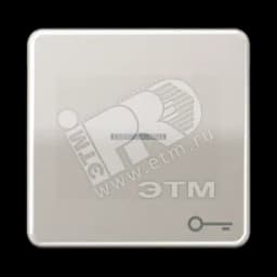 Клавиша с окошком и символом ключ для выключателей с подсветкой платина JUNG