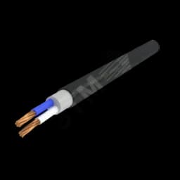 Кабель силовой ПвВГ 2х25 мк(N)-0,66 Ч, бар