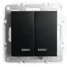 Выключатель 2клавишный с индикатором механизм STEKKER PSW10910203 250В 10А серия Эрна черный 49147