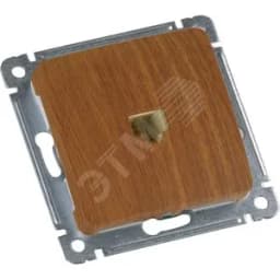 MASTER Розетка компьютерная скрытой установки, в рамку, дуб HEGEL