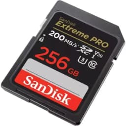 Карта памяти SanDisk 256GB SDSDXXD-256G-GN4IN
