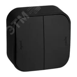 Переключатель двухклавишный - Legrand Quteo - IP20 10A 250В винтовые зажимы накладной монтаж - чёрный матовый
