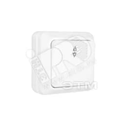 Выключатель проходной одноклавишный наружный Олимп 10А белый