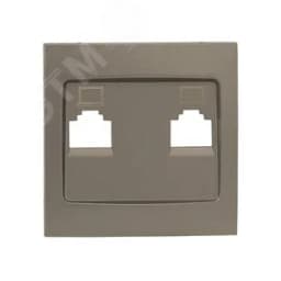 Валенсия лицевая панель розетки RJ-45 2-местная кашемир