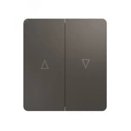 Выключатель ROUND двухклавишный для жалюзи возвратный 10А скрытой установки механизм титан