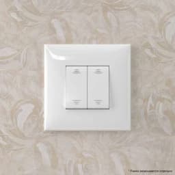 Переключатель 2-кл. 2мод. СП Avanti «Белое облако» 16А IP20 бел. DKC 4400114