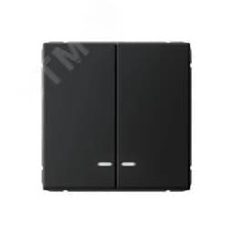 ARTGALLERY 2-клавишный выключатель с подсветкой, сх.5а, 10АХ, механизм, карбон