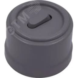 Выключатель Лизетта 1-кл., пластик, цвет Титан (клавишный)