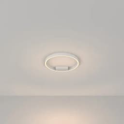 Потолочныйсветильник Maytoni Rim MOD058CLL25W3K