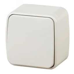 Выключатель одноклавишный наружный (открытой установки) слоновая кость 10А 250В Intro Polo 3-101-02 Б0053526 ЭРА