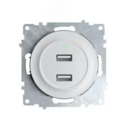 Розетка USB двойная, с подсветкой, цвет белый 2260089 ССТ