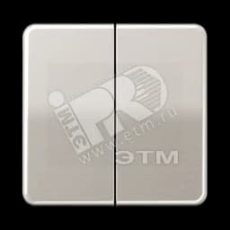 Клавиши для сдвоенных выключателей и кнопок платина JUNG