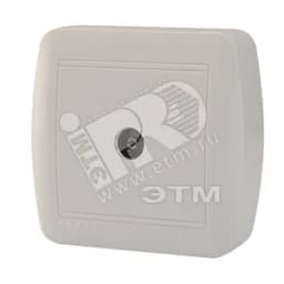 Демет Розетка ТВ проходная белый Lezard