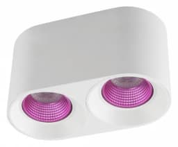 Накладной светильник Denkirs DK3020WPI DK3096WH PI