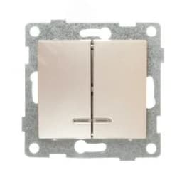 Выключатель двухклавишный Bravo инд, механизм, 10А, 250В, шампань