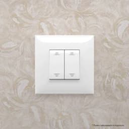 Выключатель 2-кл. 2мод. СП Avanti «Белое облако» 16А IP20 бел. DKC 4400104