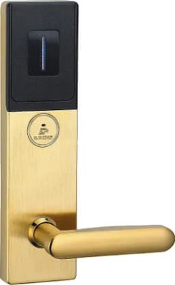 Электронный умный замок IS8001-G