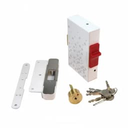 Замок электромеханический накладной (ключ+слайдер, нз,12В) Promix-SM215.10 white