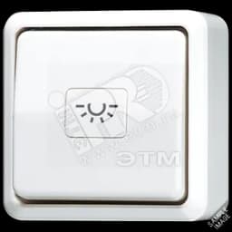 Кнопка 10A 250V накладная