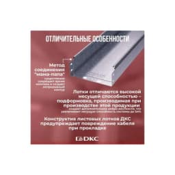 Лоток листовой неперфорированный 100х100 L2000 сталь 0.7мм DKC 35111