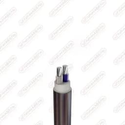 Кабель силовой АПвВГнг(А) -LS 2х16 мк(N)-1
