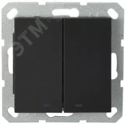 Выключатель двухклавишный со светодиодами 10A 250V~ с накладкой, цвет черный матовый (soft touch)